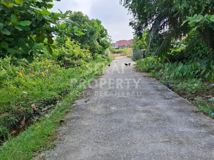 DIJUAL TANAH JL. PAUS