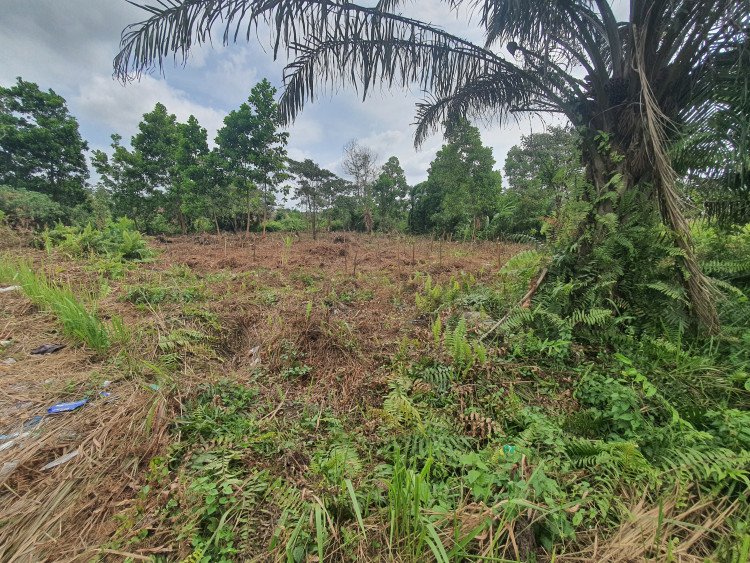 Dijual sebidang tanah jalan megah / fajar ujung - pekanbaru