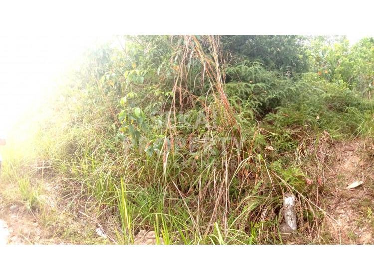 Dijual Tanah murah di Jl. Lingkar Danau belakang TVRI Rumbai Pekanbaru 50 m2 x 80 m2