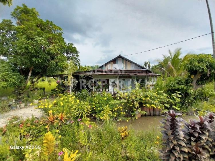 DIJUAL TANAH JL DAMAI PEKANBARU