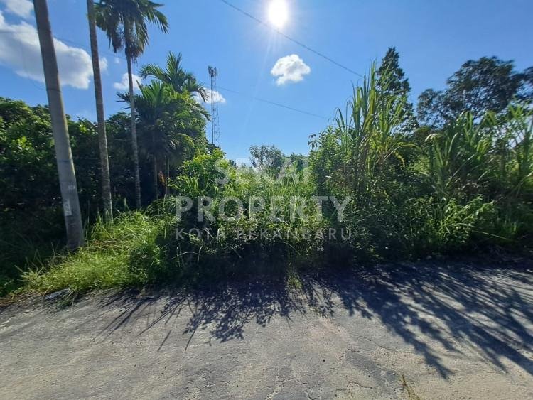 DIJUAL SEBIDANG TANAH DI JL.DAMAI PALAS-PEKANBARU