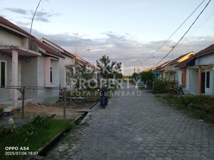Lihat semua foto