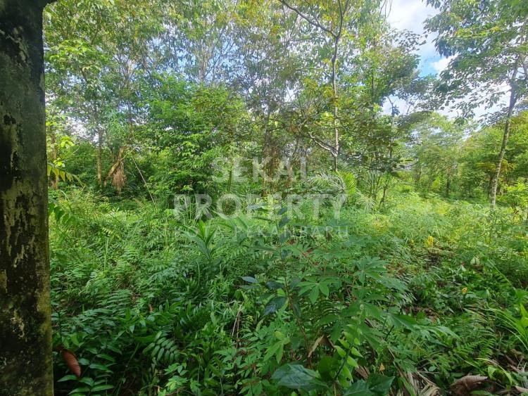 Di jual sebidang tanah lokasi garuda sakti