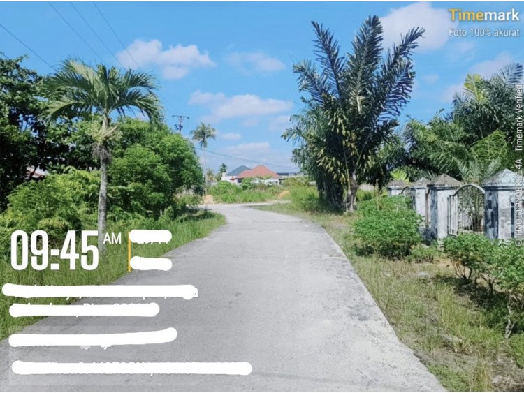 Lihat semua foto
