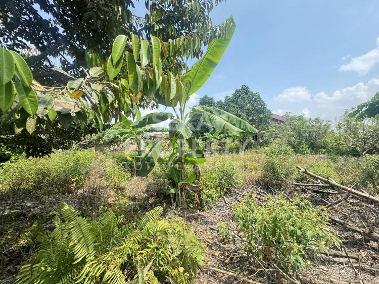 DIJUAL TANAH KOSONG JL.TEROPONG PEKANBARU