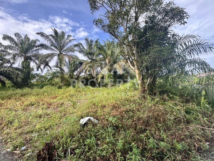 DIJUAL TANAH DITEPI JL .SEROJA HARAPAN RAYA