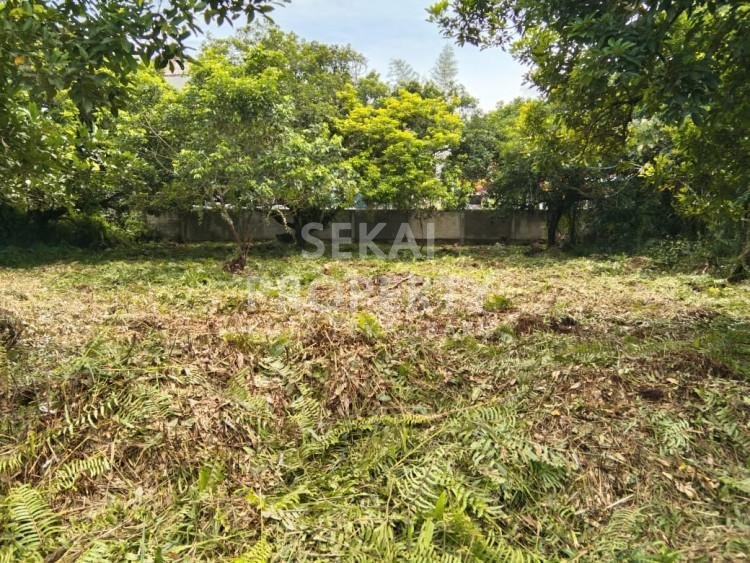 Dijual sebidang tanah lokasi Jl. Setia maharaja / Parit Indah