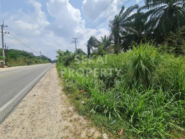 Di jual Tanah Tepi Jalan Besar Pasir Putih tengah kota Pekanbaru