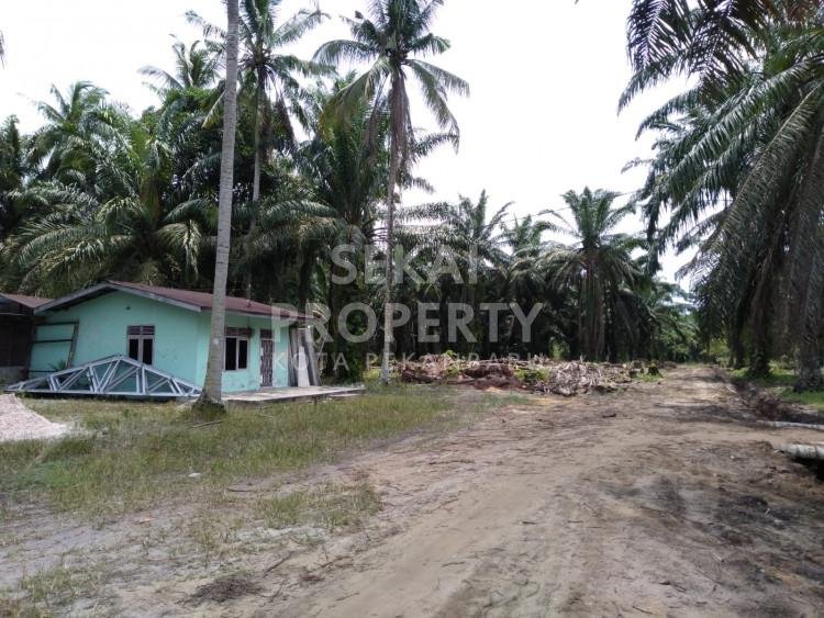 Dijual tanah di Bukit Kapur - Dumai