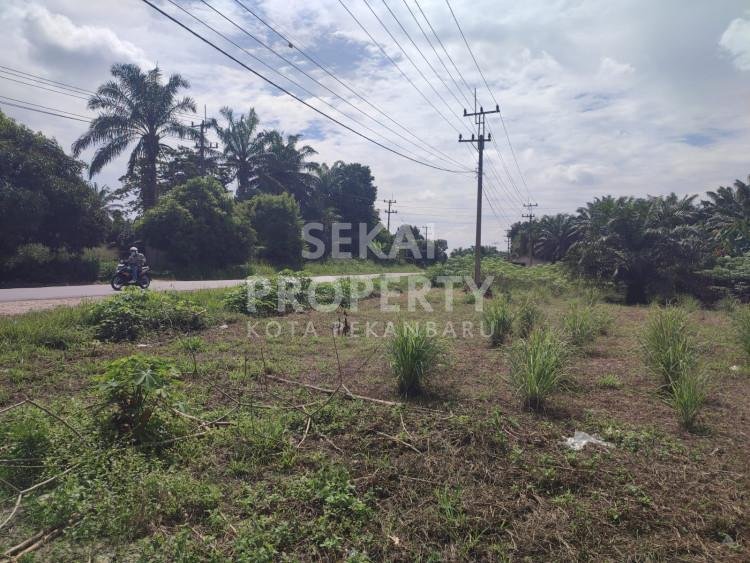 DIJUAL TANAH TEPI JALAN PASIR PUTIH