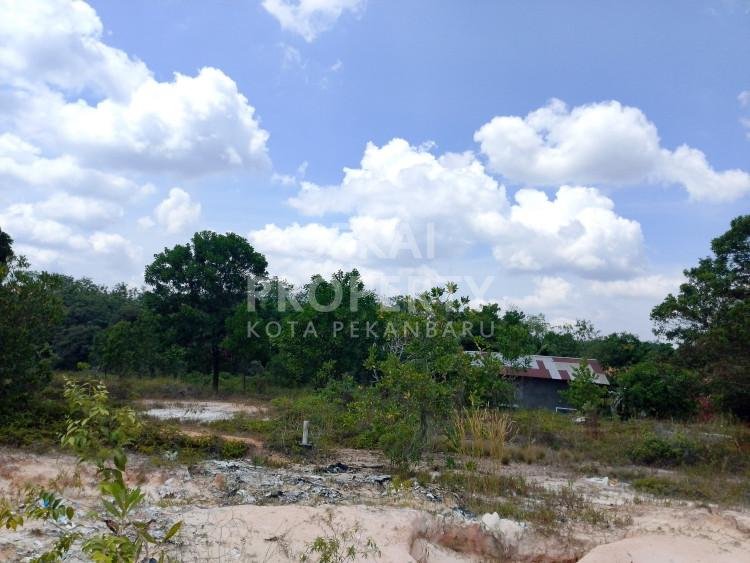 DIJUAL CEPAT TANAH DEKAT JL.BERINGIN