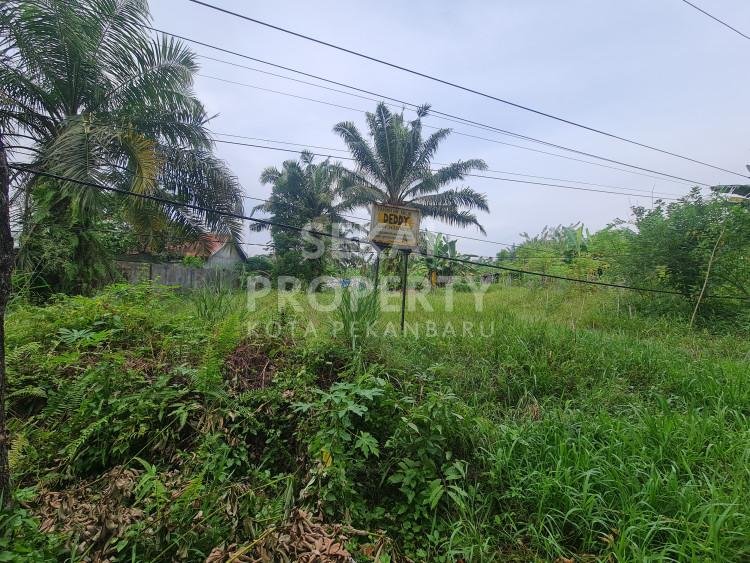 Di Jual sebidang tanah tepi Jalan lokasi Tenayan Raya tengah kota Pekanbaru