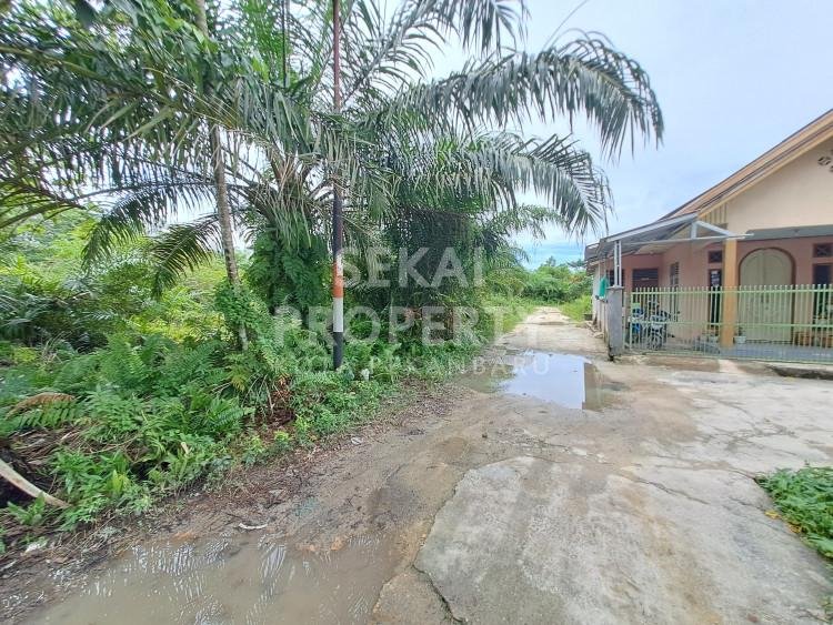 DIJUAL SEBIDANG TANAH LOKASI DEKAT PERGUDANGAN SIAK 2 JL.DHARMA BAKTI UJUNG-PEKANBARU
