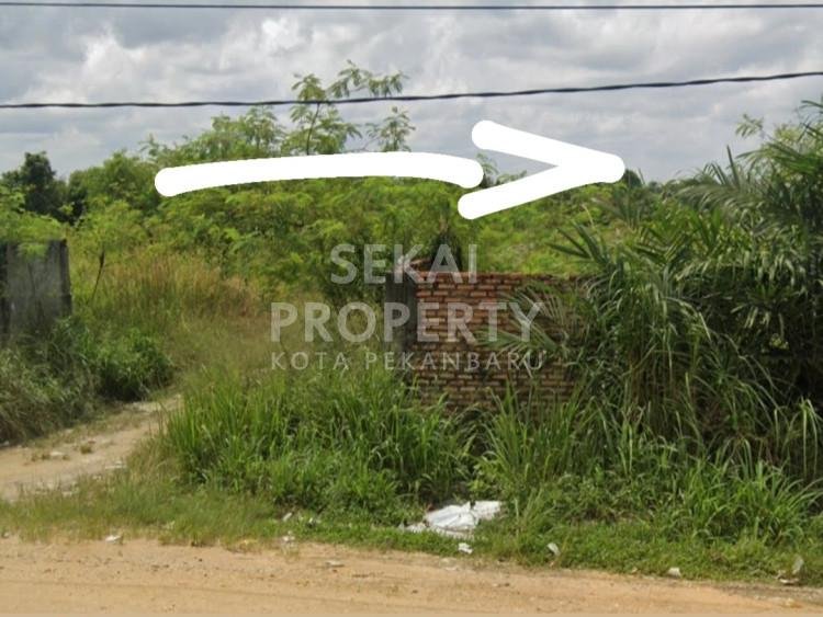 DIJUAL SEBIDANG TANAH 2 HEKTAR LOKASI DI PANDAU JAYA DEKAT GUDANG INDOMARET-PEKANBARU