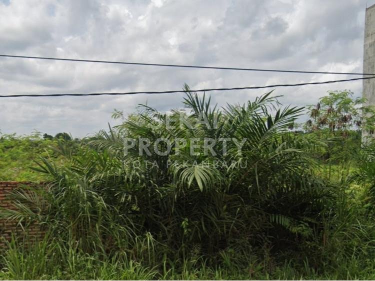 DIJUAL SEBIDANG TANAH 2 HEKTAR LOKASI DI PANDAU JAYA DEKAT GUDANG INDOMARET-PEKANBARU