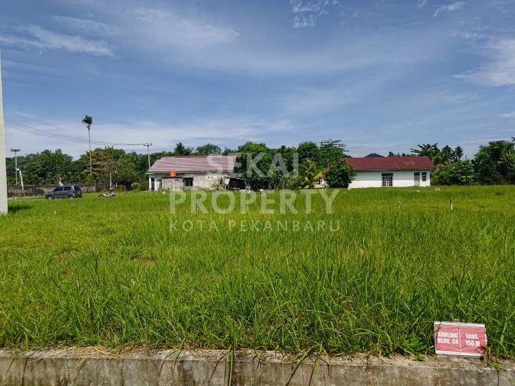 Lihat semua foto
