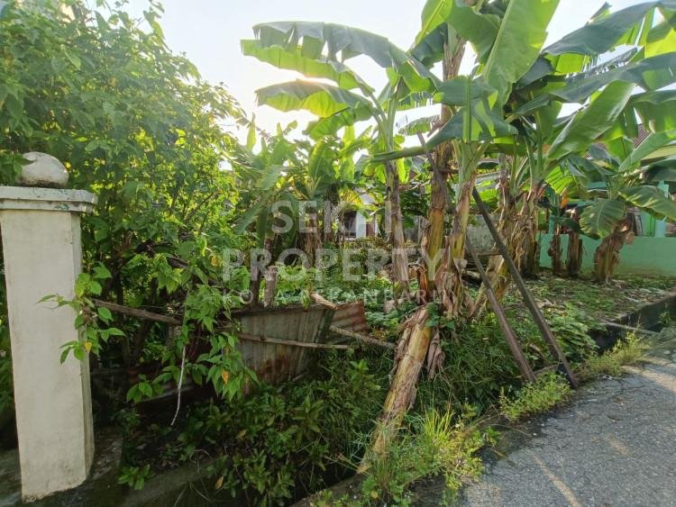 DIJUAL TANAH DI JL. JAMBU MAWAR - PEKANBARU