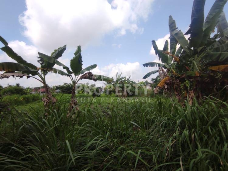 DI JUAL TANAH SIAP BANGUN DI JL. SWAKARYA-PANAM-PEKAN  BARU