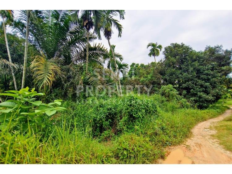DIJUAL TANAH DEKAT JL TARUNA PEKANBARU