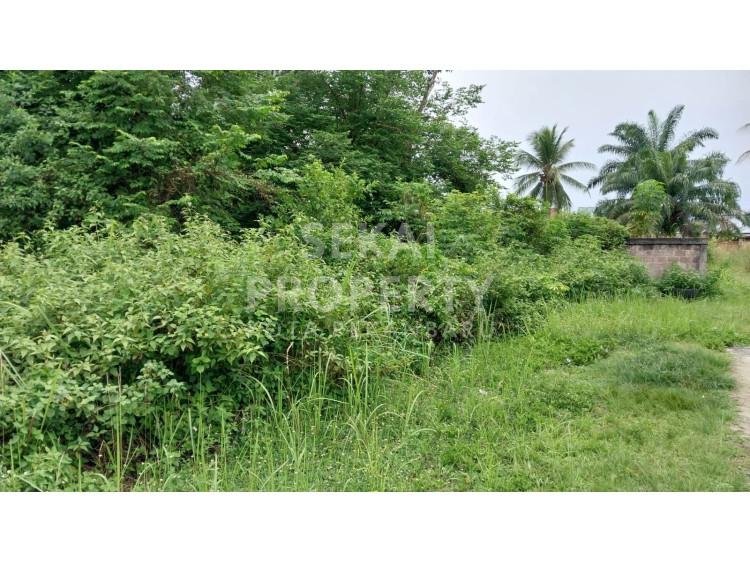 DIJUAL TANAH  BUKIT TIMAH DUMAI