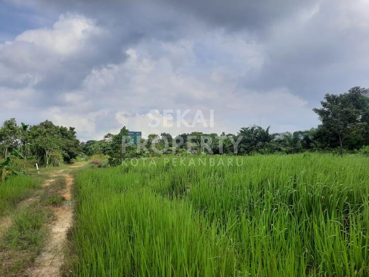 Dijual Cepat Tanah Belakang SKA