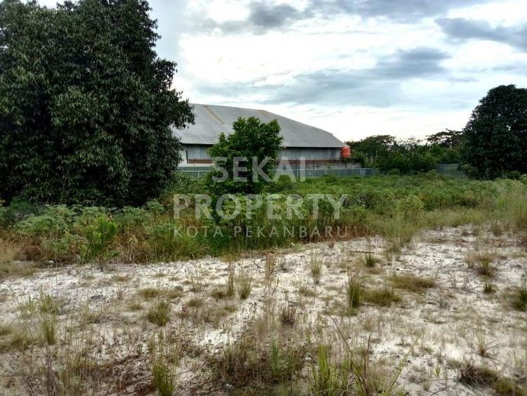 Dijual Tanah murah di tepi jalan besar Jl. Asofa - Pekanbaru
