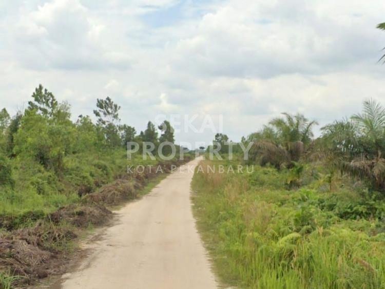 DIJUAL SEBIDANG TANAH 10 HEKTAR LOKASI RIMBO PANJANG/PEKANBARU-BANGKINANG