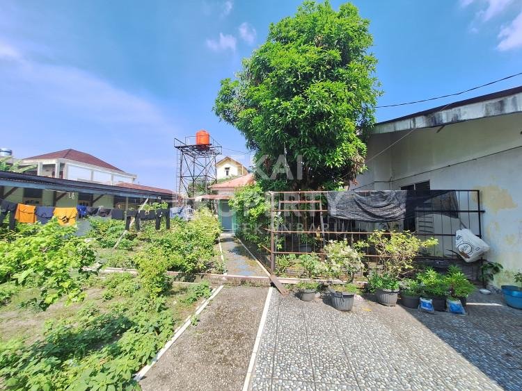 Lihat semua foto