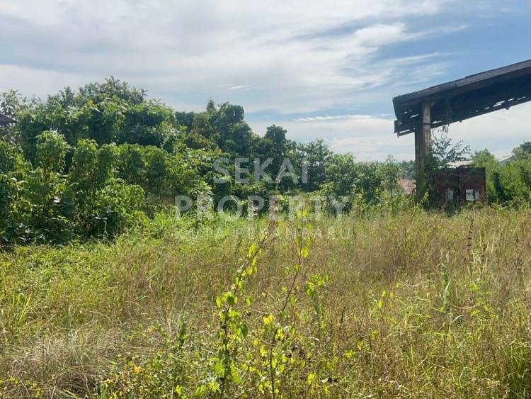 DISEWAKAN SEBIDANG TANAH KERAS TEPI JALAN PALAS-PEKANBARU