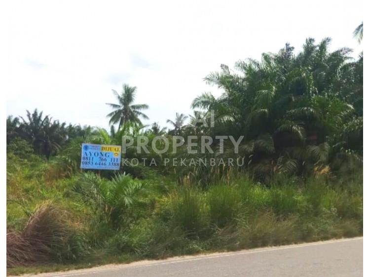 Dijual sebidang tanah di Garuda Sakti Km 20
