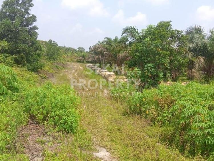Dijual sebidang tanah lokasi pasir putih-pekanbaru