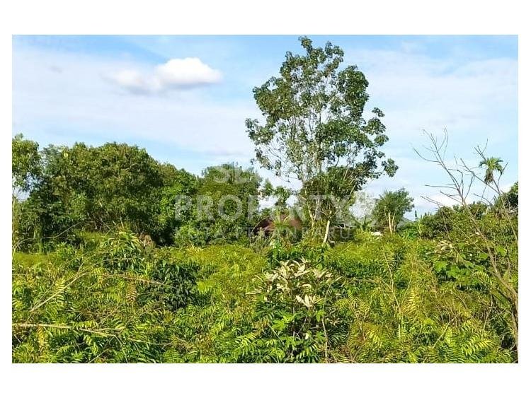 DIJUAL TANAH DI RAWA BENING - PEKANBARU