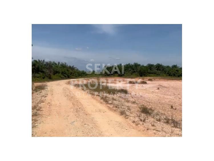 Dijual Tanah 2 ha di Pangkalan Kerinci, Kerinci Barat, dekat Taman Kerinci Residence,  Pelalawan