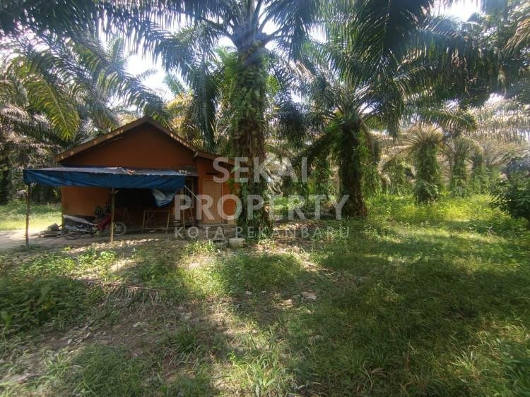 Dijual Tanah 1,1 Ha di Jl. Kadiran Daerah Kulim