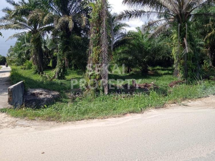 Dijual tanah di Jl. Tegal Sari / Rumbai