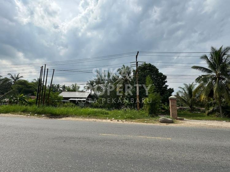 DIJUAL SEBIDANG TANAH LOKASI TEPI JALAN LINTAS SUMATERA