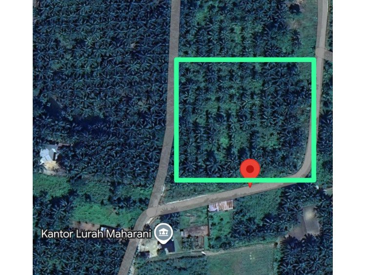 DI JUAL SEBIDANG TANAH LOKASI DI RUMBAI BUKIT PEKANBARU