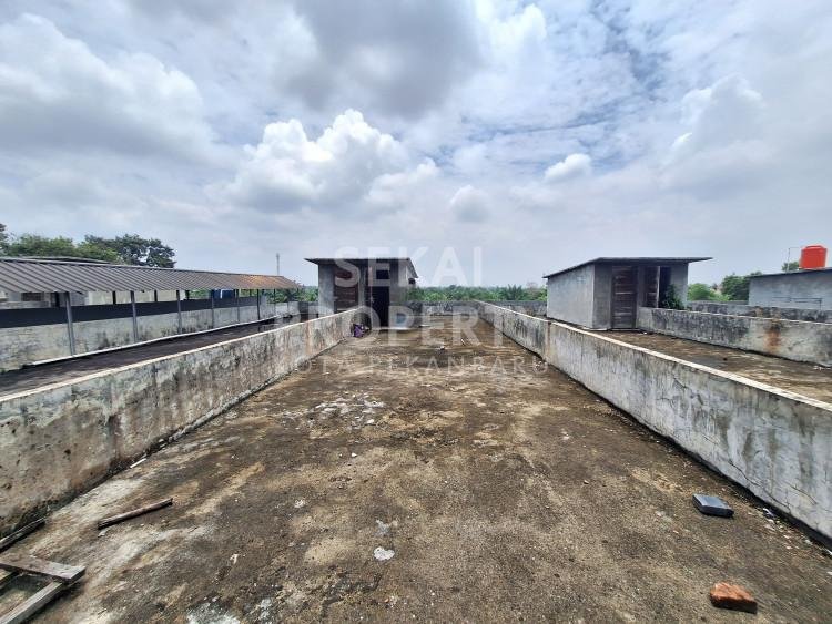 Lihat semua foto