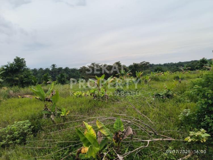 Dijual Tanah Lokasi Di Muara Fajar Pekanbaru Riau
