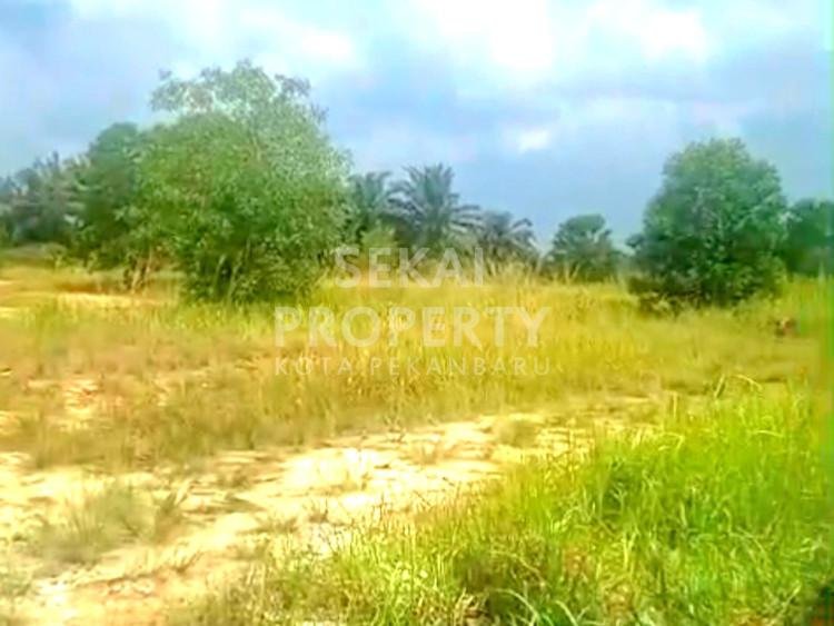 DIJUAL SEBIDANG TANAH KERAS LOKASI JL.INDRAPURI HANGTUAH-PEKANBARU