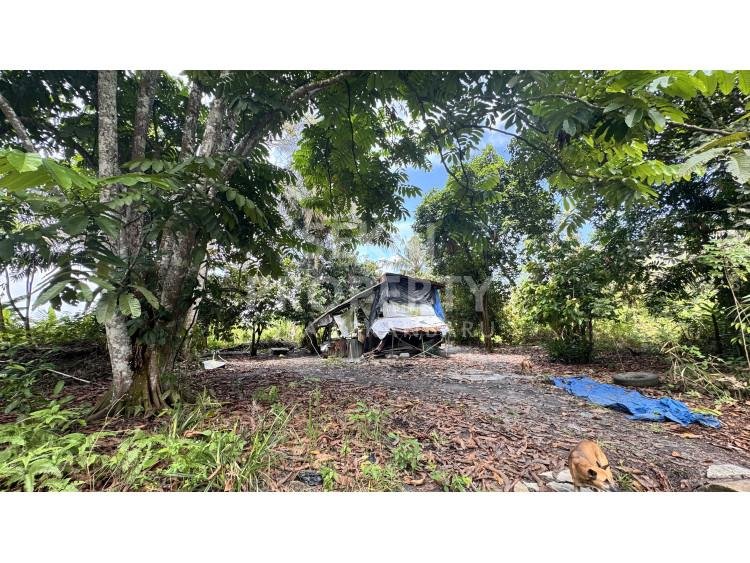 DIJUAL TANAH LOKASi OKURA