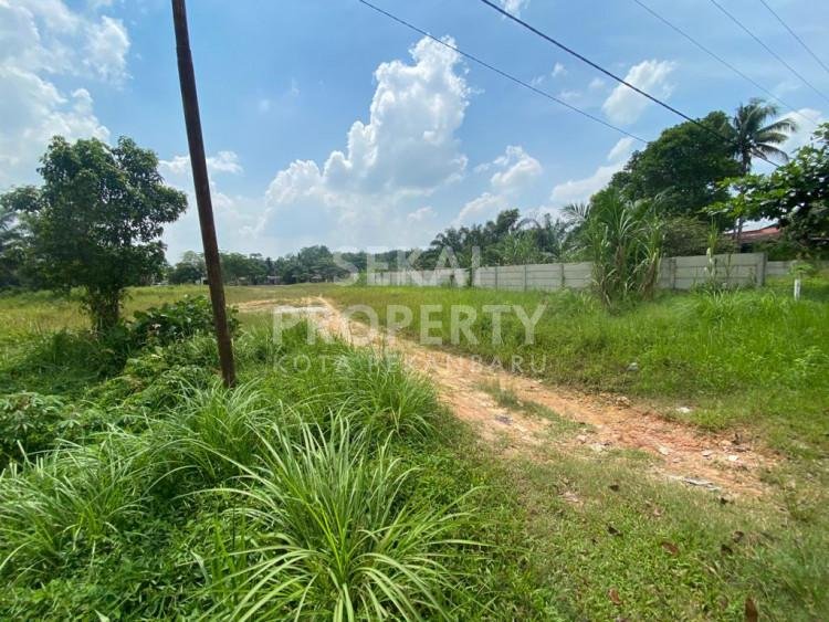 Dijual tanah murah lokasi tenayan Jaya - Pekanbaru
