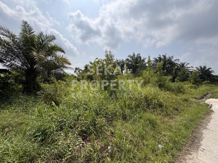 Dijual sebidang tanah keras jalan daru daru tengah kota pekanbaru