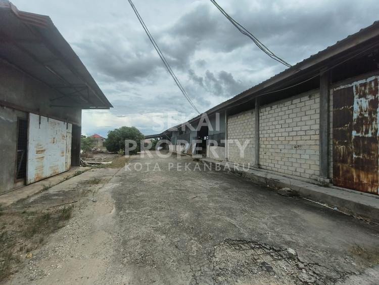 Lihat semua foto