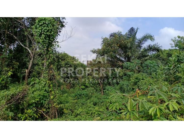 Dijual Tanah Jl. Gelatik, Tampan, Pekanbaru