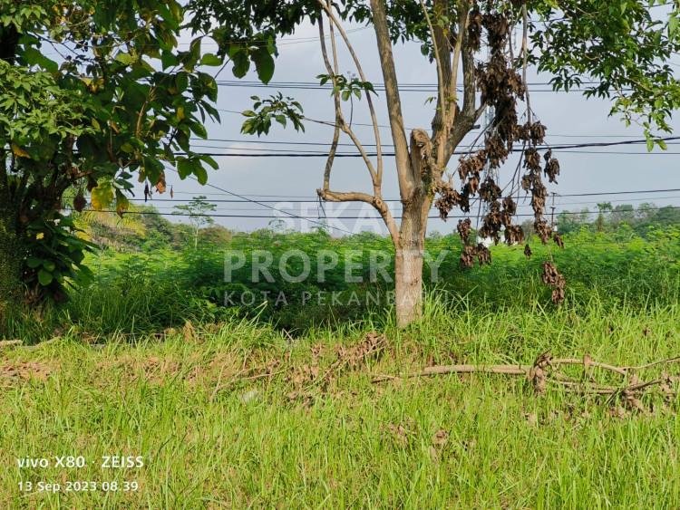 DIJUAL TANAH LOKASI JALAN SOEKARNO HATTA PEKANBARU