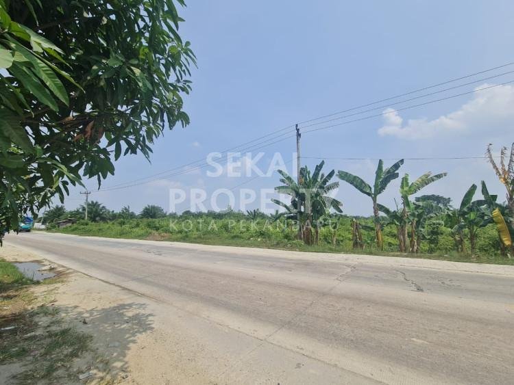 Lihat semua foto