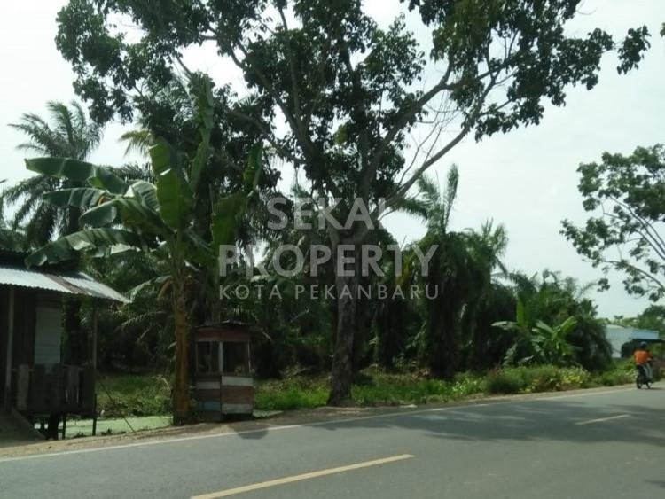 DIJUAL TANAH LUAS DI JL. POROS - ROKAN HILIR