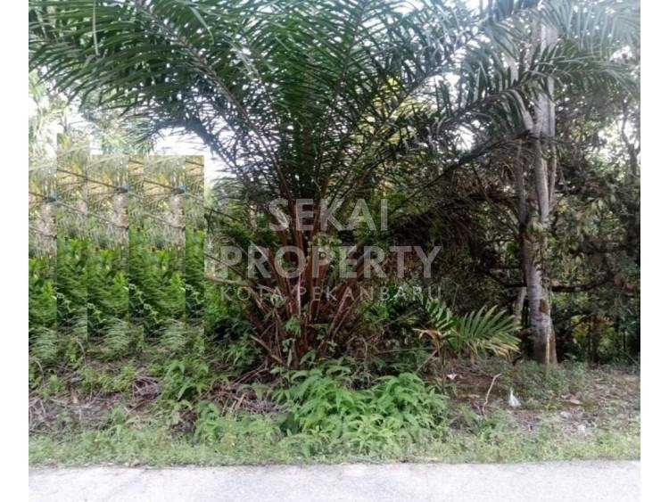 DIJUAL SEBIDANG TANAH DI JALAN PENGEMBANG - RUMBAI