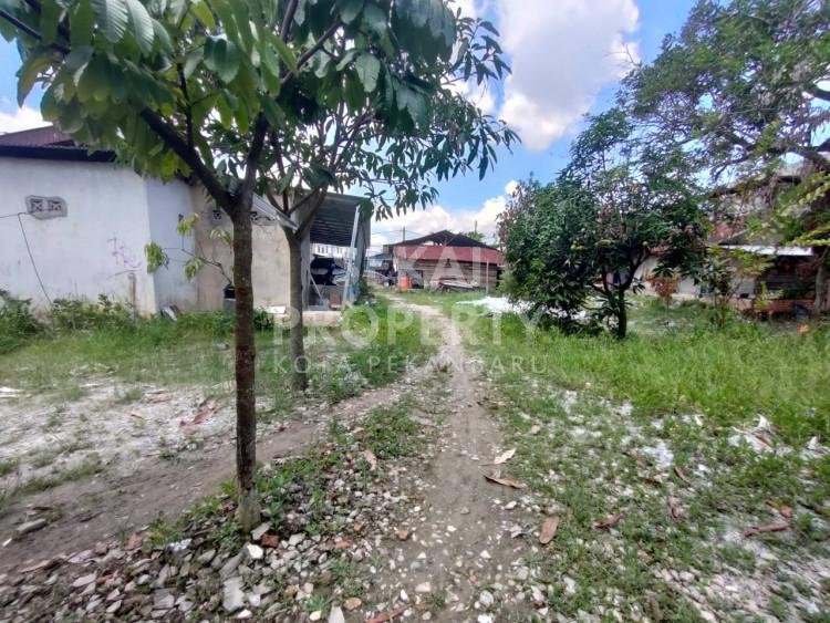 Dijual sebidang tanah di tepi jalan besar Jl. Panglima / Lili - Pekanbaru